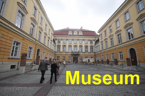 A Museum.jpg